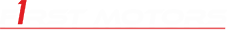 Alpago First Motors Logo Img